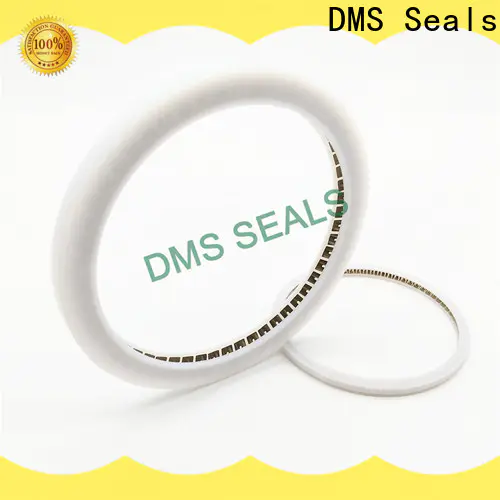 DMS Seals Latest mechanical seal presentation company for reciprocating piston rod or piston single acting seal