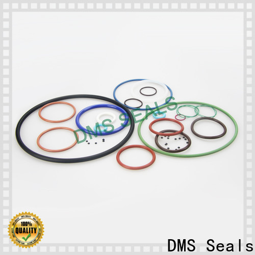 DMS Seals Wholesale purchase o rings for sale in highly aggressive chemical processing
