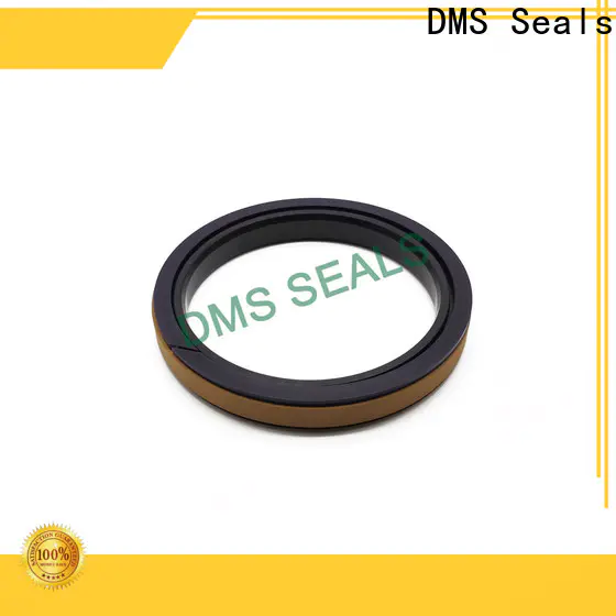 DMS Seals hydraulic cylinder seal design supplier for pneumatic equipment