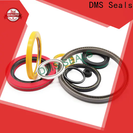 DMS Seals spring energized seals wholesale for aviation