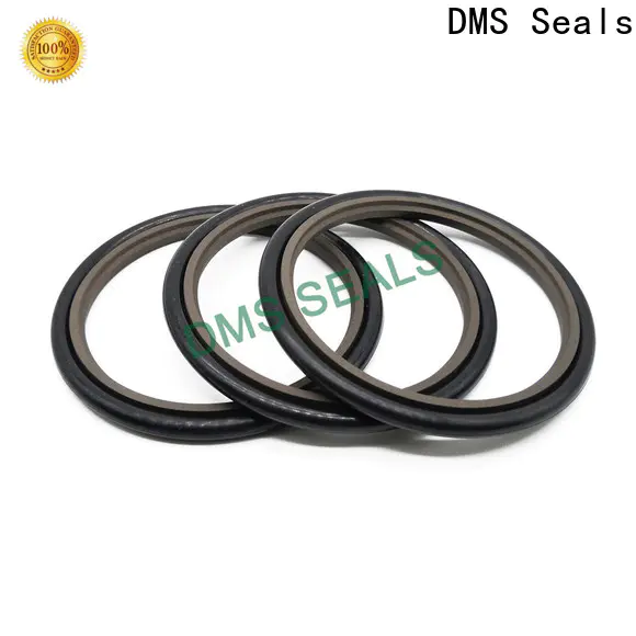DMS Seals o ring seal manufacturers supply for piston and hydraulic cylinder