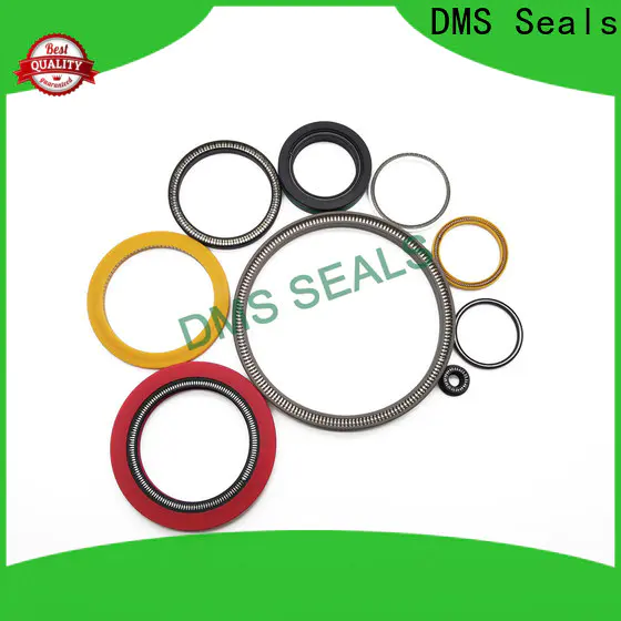 Buy energized seal cost for fracturing