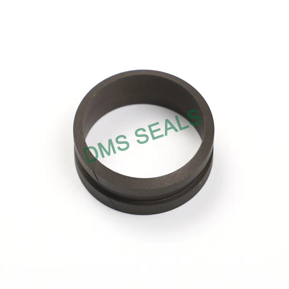 Shaft Guide Ring Dfi Seal Ring PTFE Rod Guide Seal