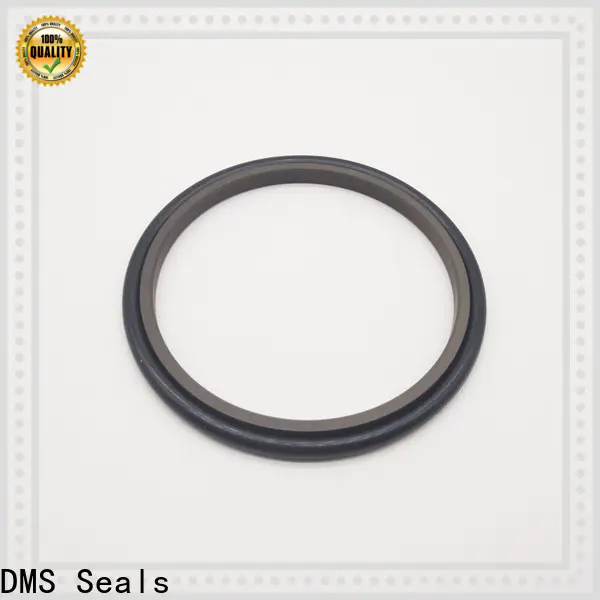 DMS Seals mechanical shaft seal suppliers wholesale for piston and hydraulic cylinder