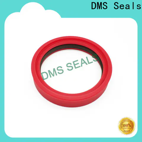 DMS Seals Professional ptfe o ring supply for larger piston clearance