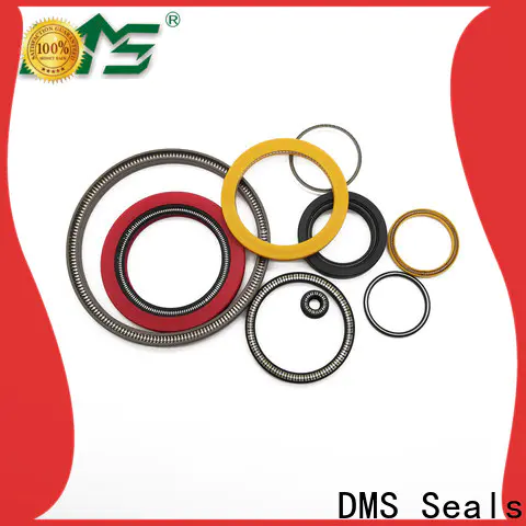 DMS Seals spring energised seal for valves
