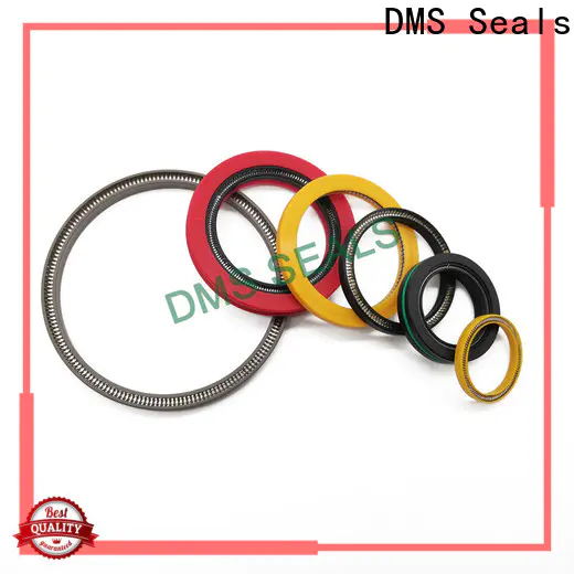 DMS Seals parker spring energized seals company for acidizing