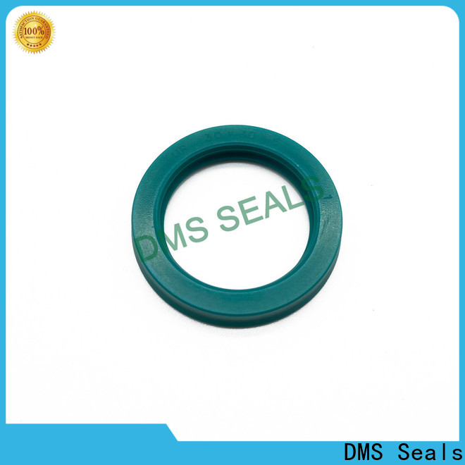 best O Ring Manufacturers factory to high and low speed DMS Seals