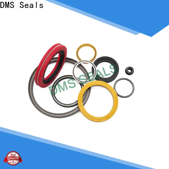 DMS Seals spring energized teflon seals for cementing