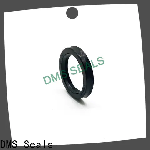 DMS Seals Professional oil seal ptfe supply for housing