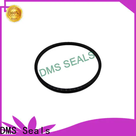 DMS Seals piston rings by bore size manufacturer for piston and hydraulic cylinder
