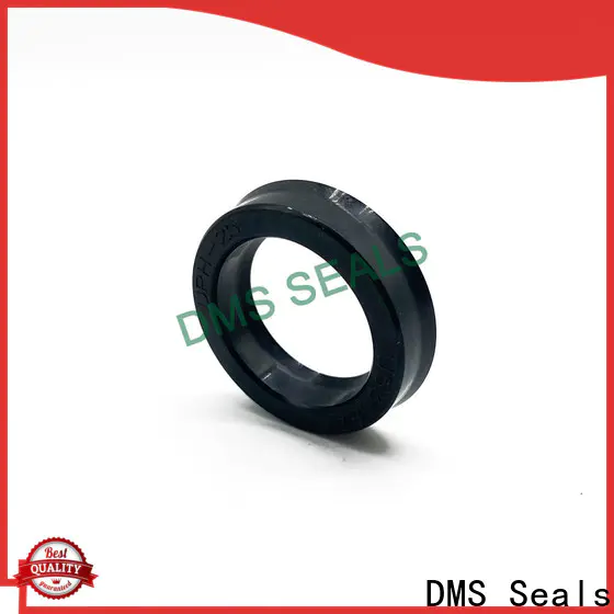 DMS Seals split oil seal manufacturer supplier for larger piston clearance