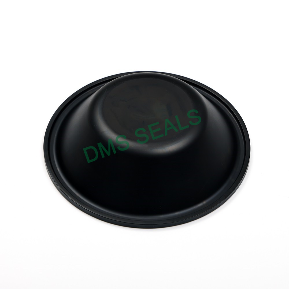DMS Seals Quality h section rubber seal wholesale for high pressure-4