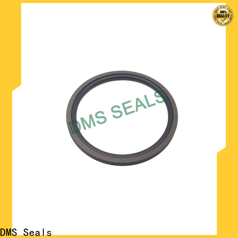 DMS Seals High-quality oil retainer seal factory for automotive equipment