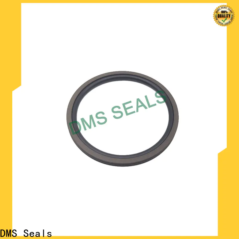 DMS Seals High-quality oil retainer seal factory for automotive equipment