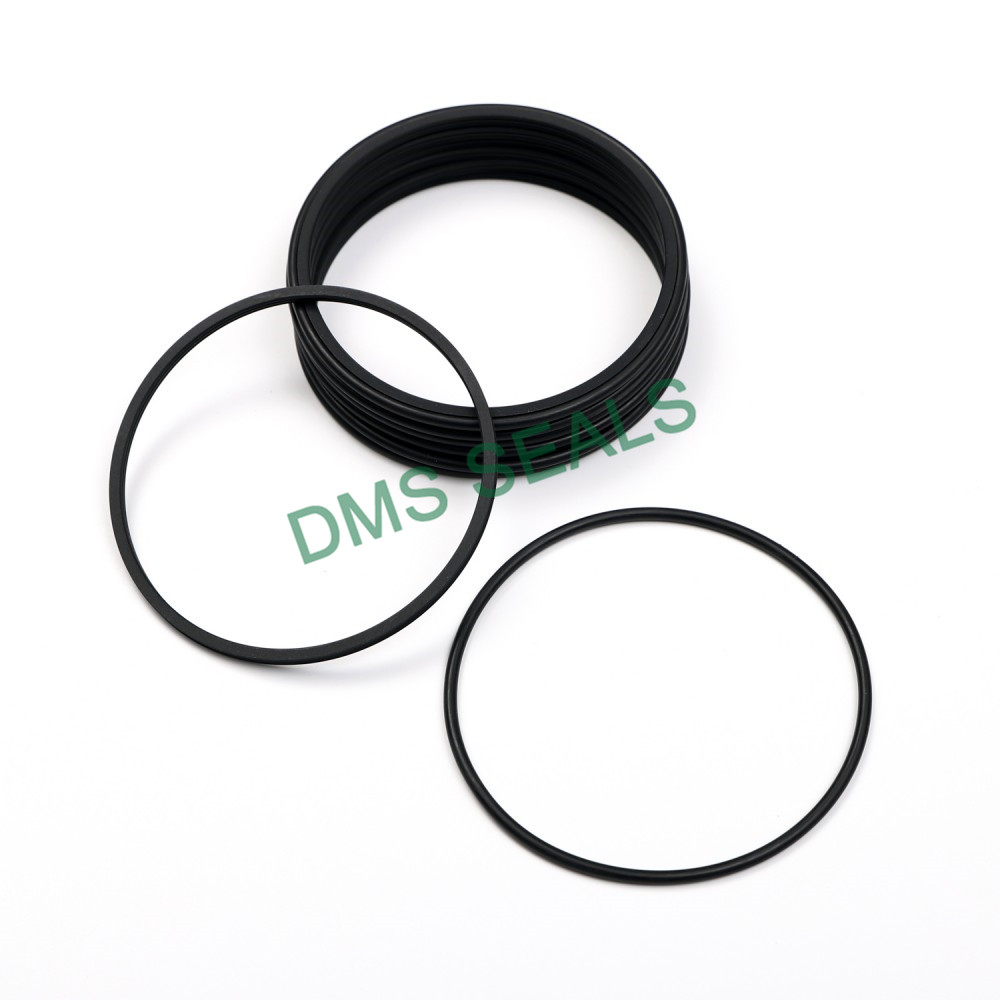DMS Seals Custom plastic shaft seals for sale for construction machinery-1