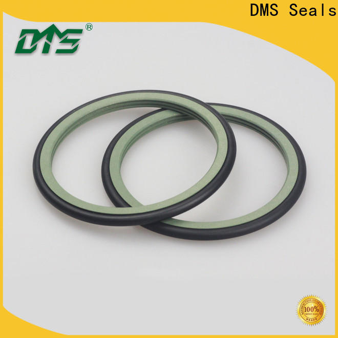 DMS Seals v type oil seal wholesale for automotive equipment