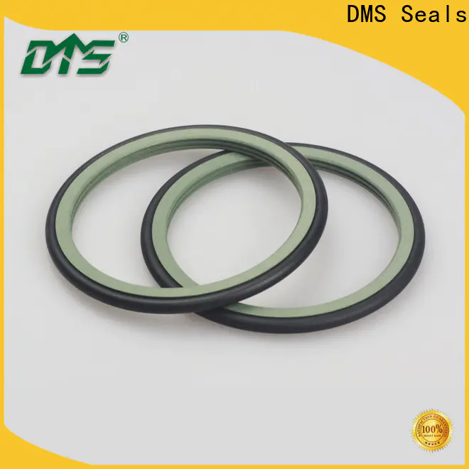 DMS Seals v type oil seal wholesale for automotive equipment