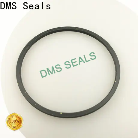 DMS Seals Custom rubber seal strip suppliers supplier for larger piston clearance