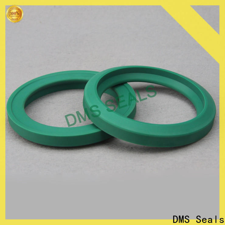 DMS Seals hydraulic oil seal for sale for larger piston clearance