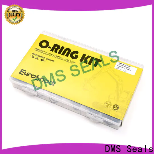 DMS Seals nice quality o ring 21 factory price For seal