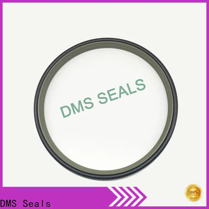 DMS Seals professional rod wiper seals for forklifts