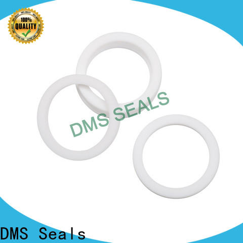 DMS Seals industrial gasket inc cost for preventing the seal from being squeezed