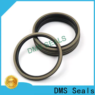 Wholesale transmission piston seal factory for light and medium hydraulic systems