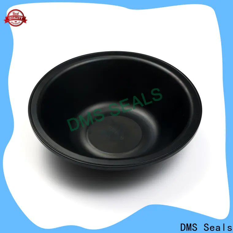 DMS Seals w profile rubber seal vendor for leakage gap
