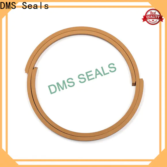 DMS Seals 3mm rubber seal factory price for larger piston clearance