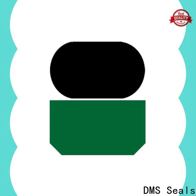 DMS Seals Top kit seal cylinder factory for pressure work and sliding high speed occasions