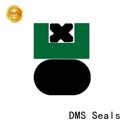 DMS Seals rod seal installation factory for sale