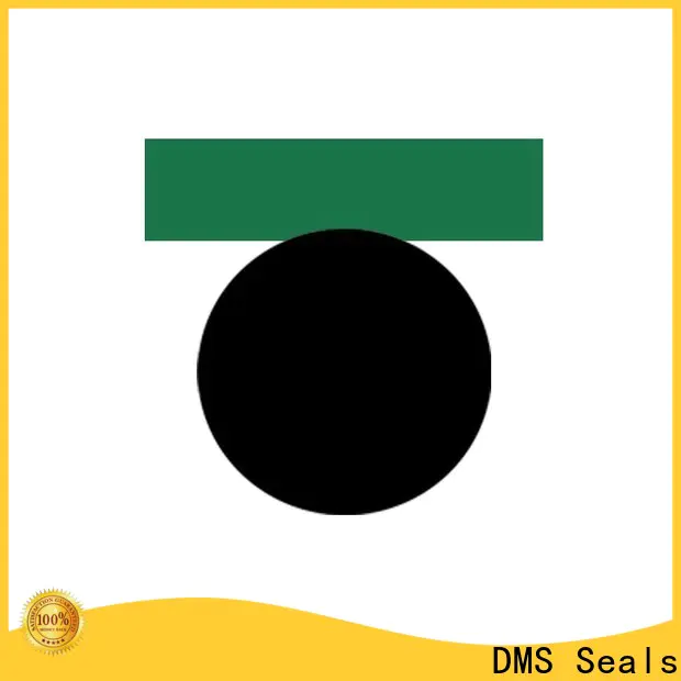 DMS Seals air cylinder piston seals company for sale