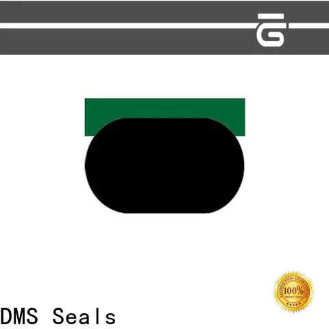 DMS Seals High-quality piston oil seal cost for pneumatic equipment