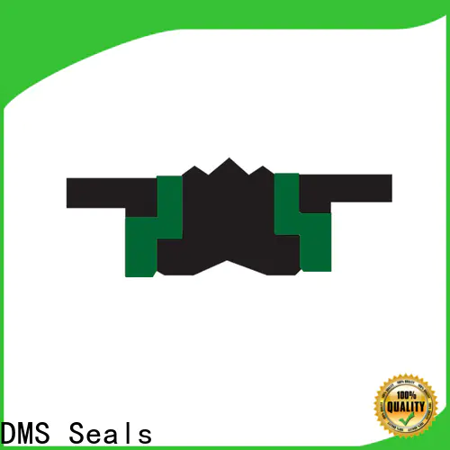 DMS Seals Top hydraulic rod seal installer price for pneumatic equipment