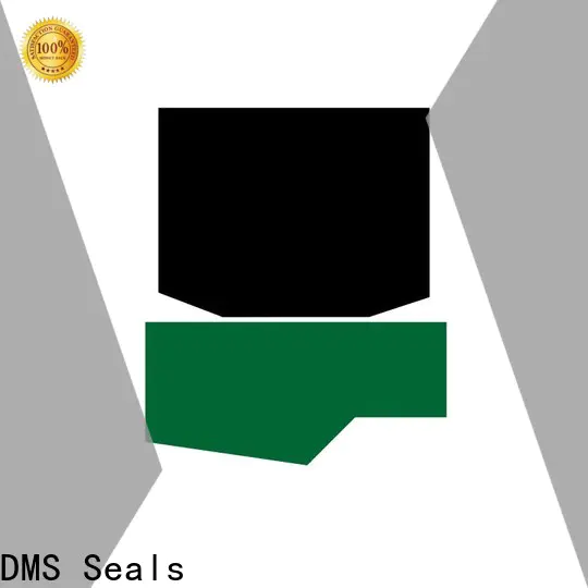 DMS Seals hydraulic motor seal kit factory for pressure work and sliding high speed occasions