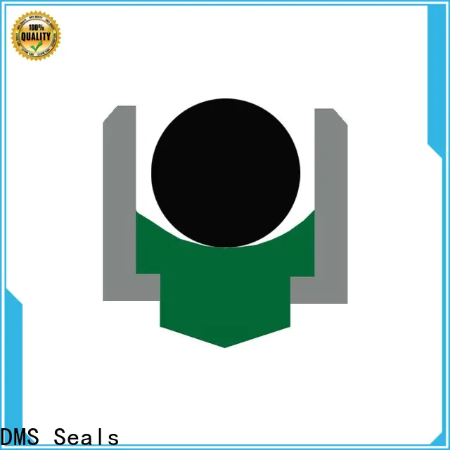 DMS Seals metric lip seals wholesale for automotive equipment