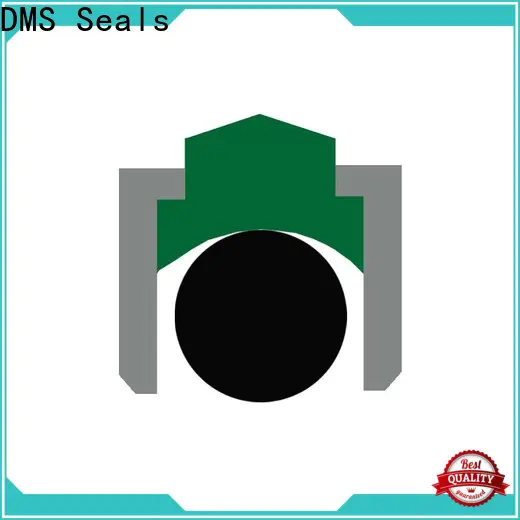 DMS Seals rotating water seal vendor for construction machinery