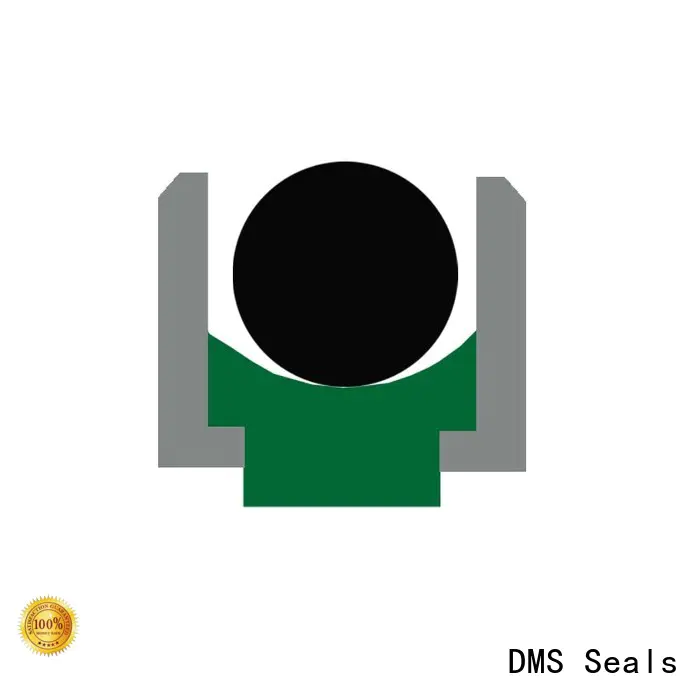 DMS Seals high end buffer seal hydraulic for pressure work and sliding high speed occasions