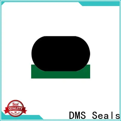 DMS Seals best cylinder rod wiper factory for sale