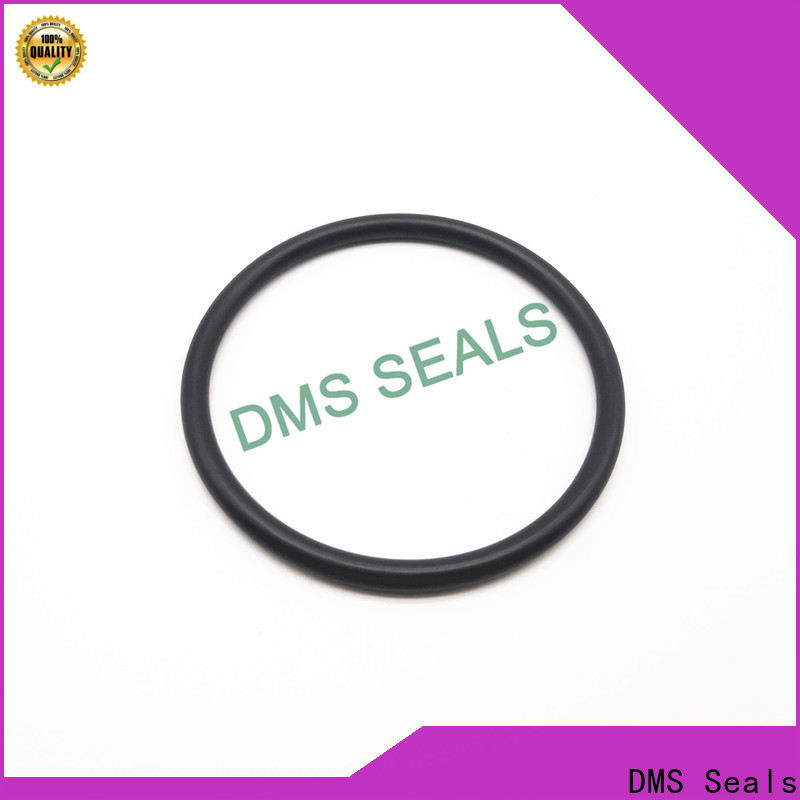 DMS Seals Best 6.5 inch o ring factory price in highly aggressive chemical processing