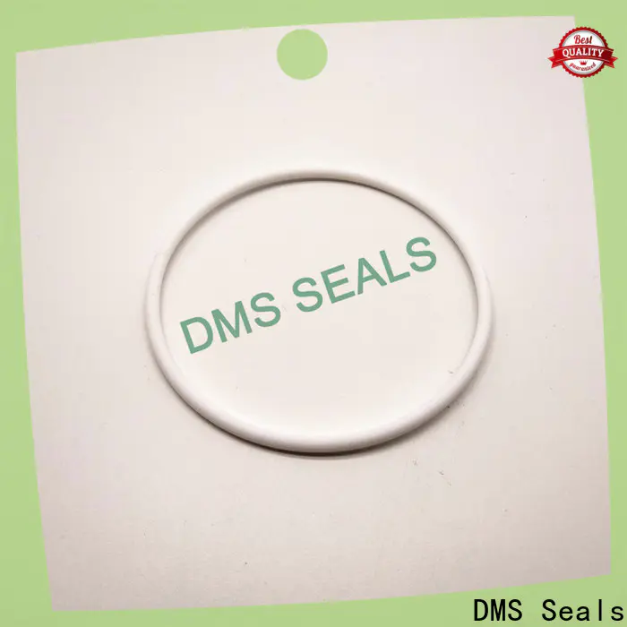 DMS Seals 19mm o ring company for sale