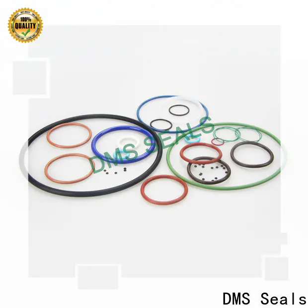 High-quality custom made seal rings cost in highly aggressive chemical processing