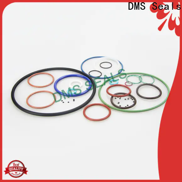 DMS Seals neoprene rubber o rings vendor for static sealing