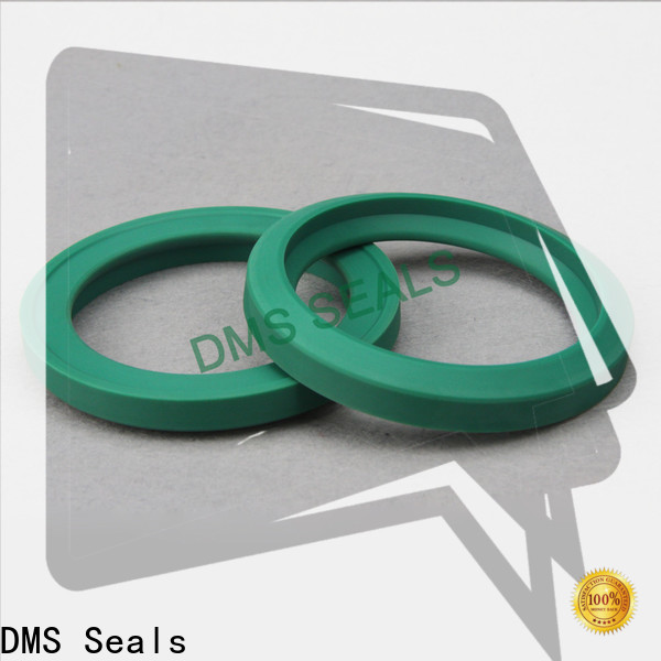 DMS Seals Customized seal caps manufacturer company for larger piston clearance