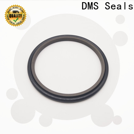 DMS Seals dura seal mechanical seal manufacturer for larger piston clearance