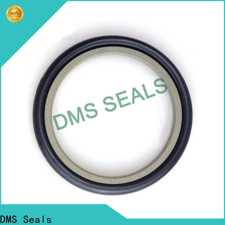 Professional molded seals supply for larger piston clearance
