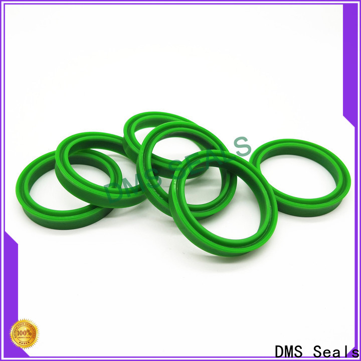 Custom viton oil seal manufacturers cost for larger piston clearance