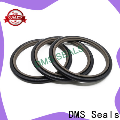 DMS Seals hydraulic oil seal manufacturers supply for larger piston clearance