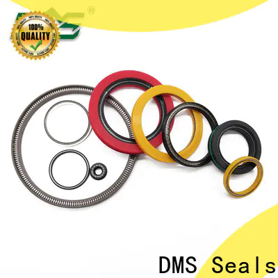 DMS Seals Buy spring energised seal price for fracturing